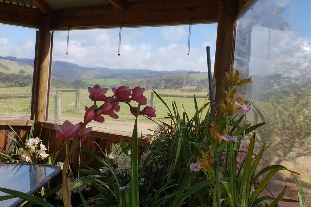Handsome Hills Dairy Retreat Won Wron Kültér fotó